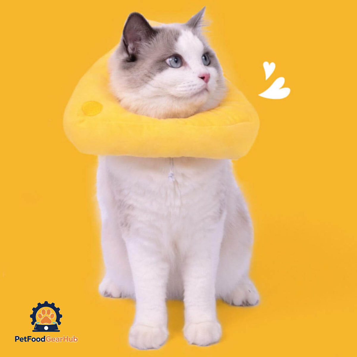 Cheese Elizabethan Collar for Cats | Cat with E Collar | PetFoodGearHub