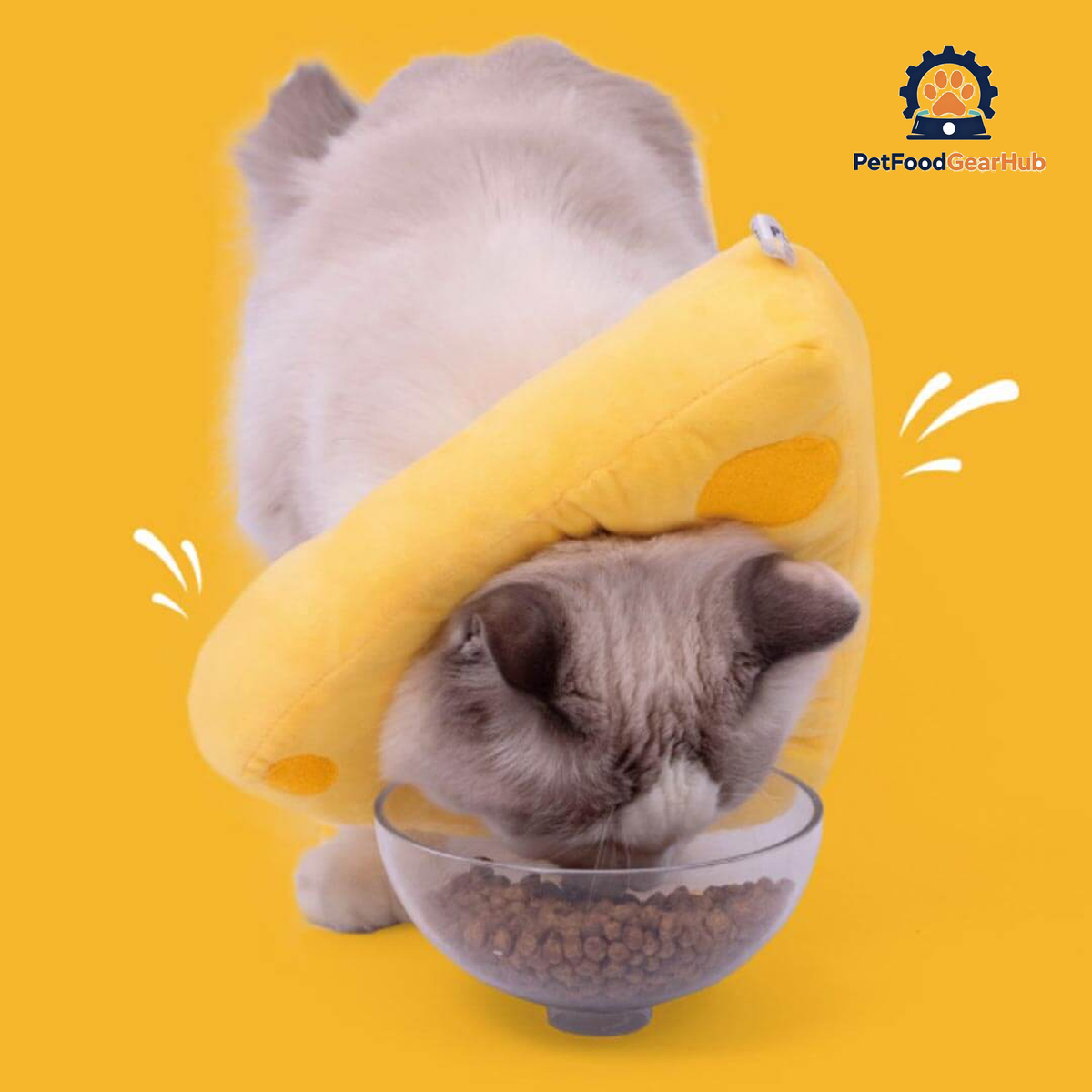 Cheese Elizabethan Collar for Cats | Cat with E Collar | PetFoodGearHub
