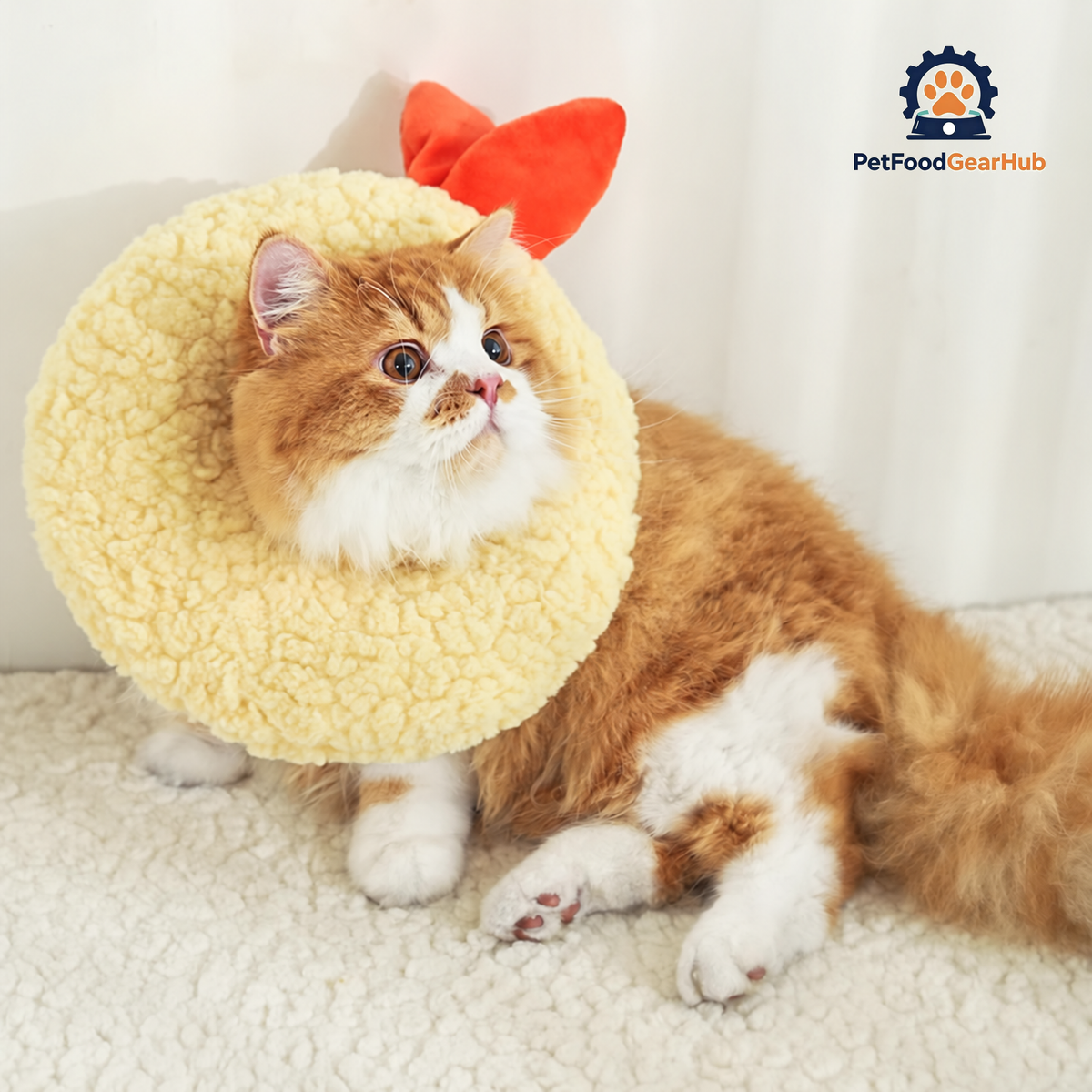 Cat in Tempura Recovery E Collar | PetFoodGearHub