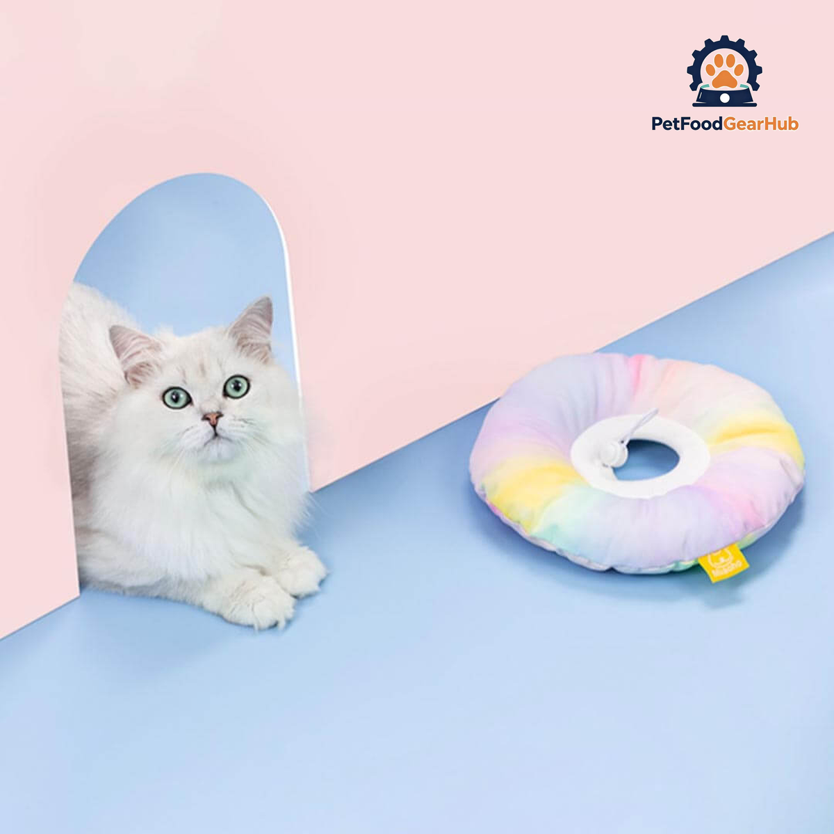 Fairy Elizabethan Collar | Cute E Collar for Pets | PetFoodGearHub