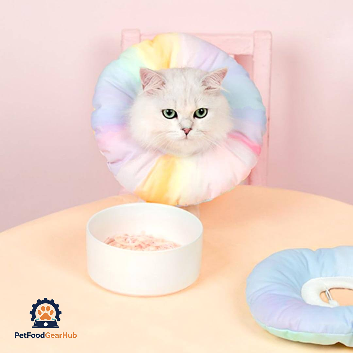 Fairy Elizabethan Collar | Cute E Collar for Pets | PetFoodGearHub