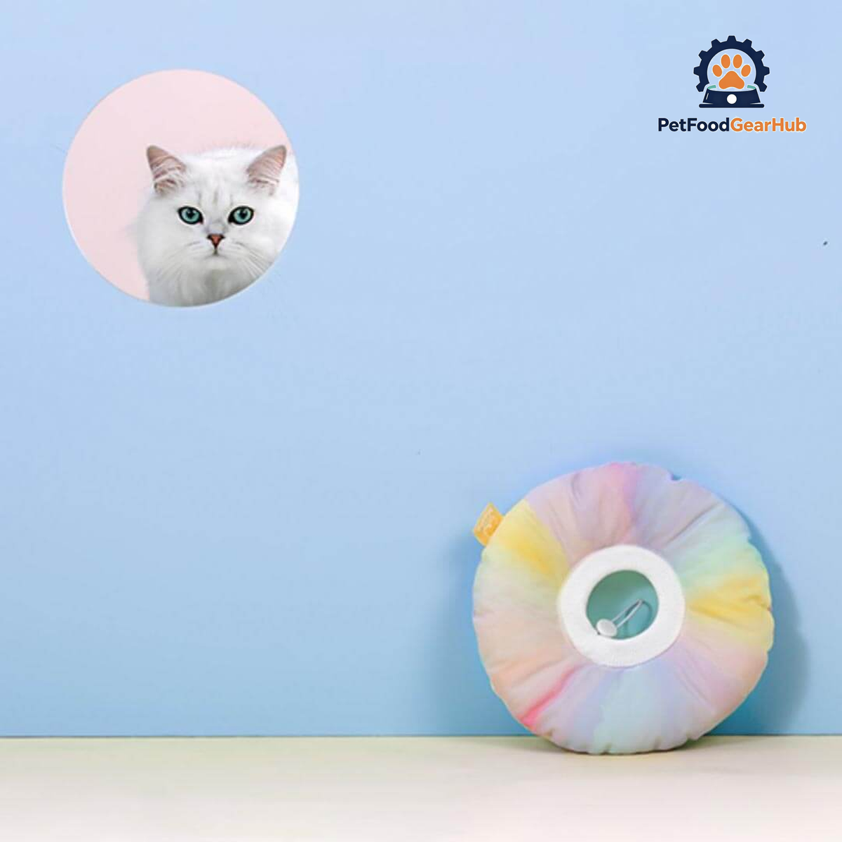 Fairy Elizabethan Collar | Cute E Collar for Pets | PetFoodGearHub