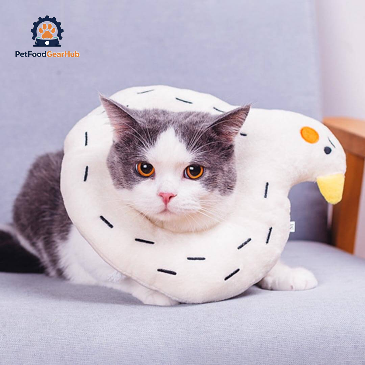 Goose Elizabethan Collar | Cat with E Collar | PetFoodGearHub