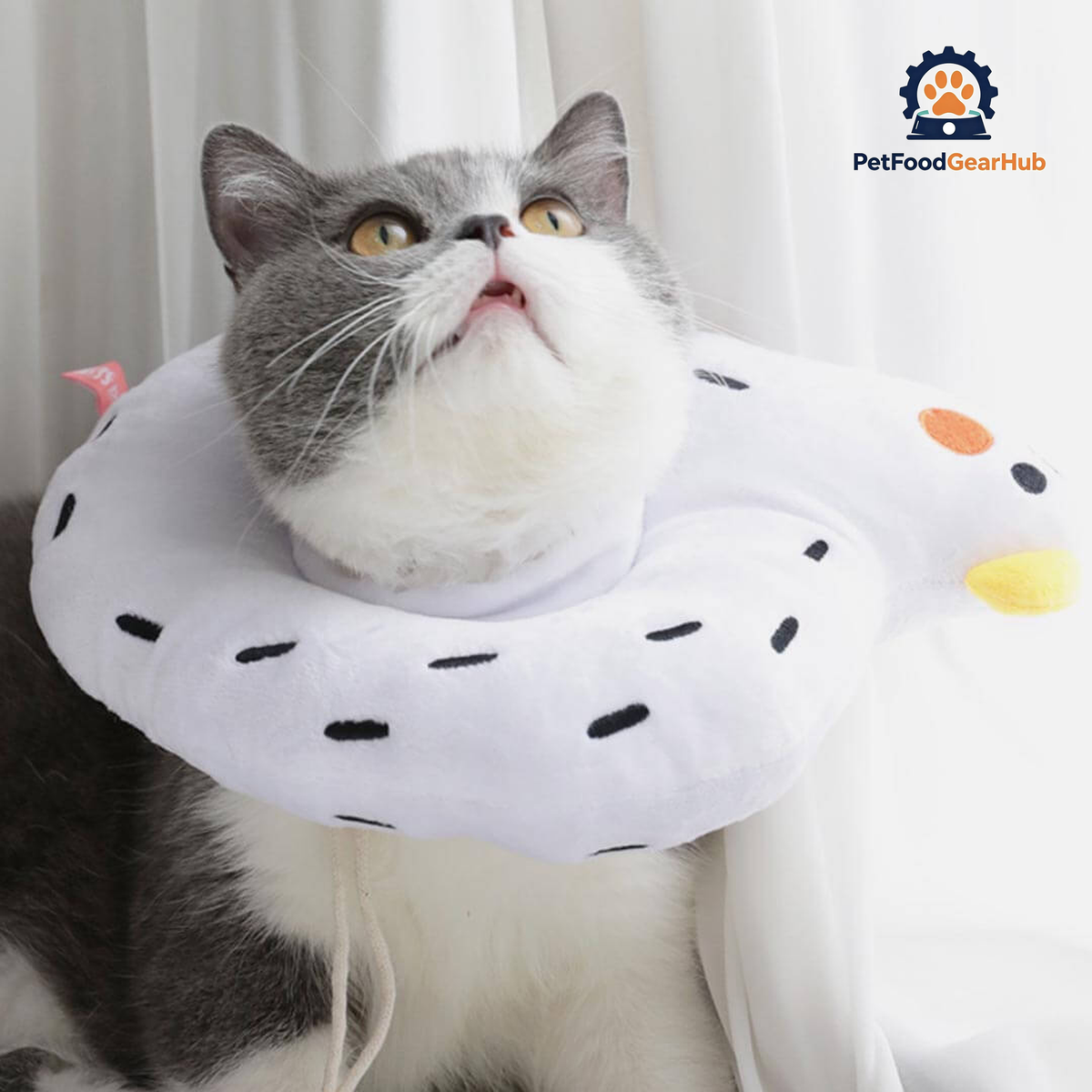 Goose Elizabethan Collar | Cat with E Collar | PetFoodGearHub