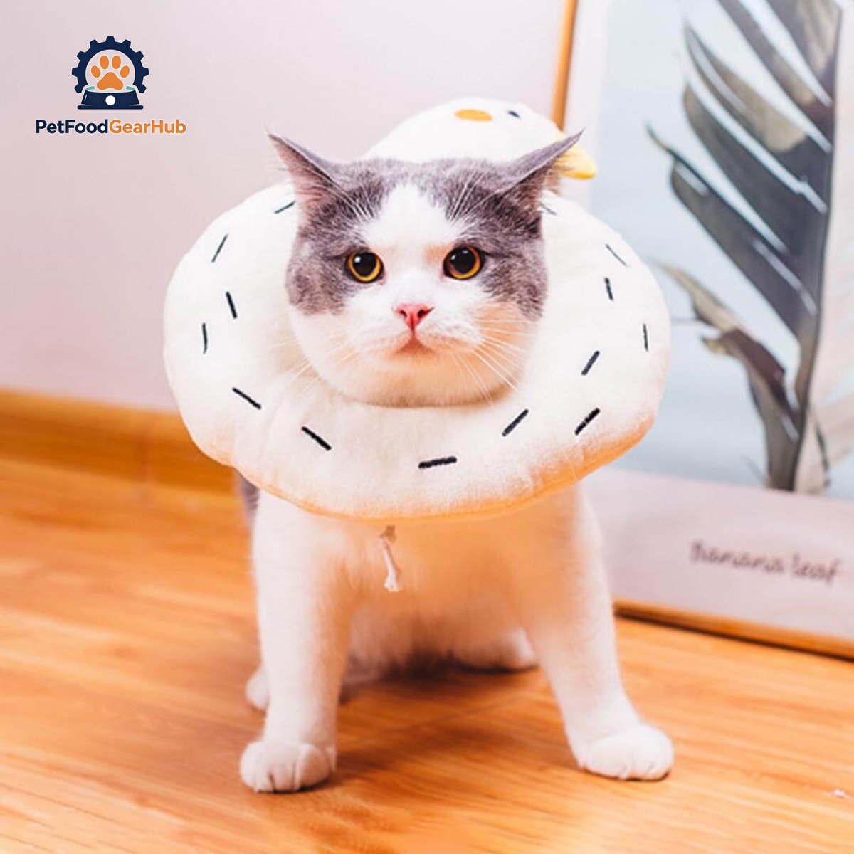 Goose Elizabethan Collar | Cat with E Collar | PetFoodGearHub