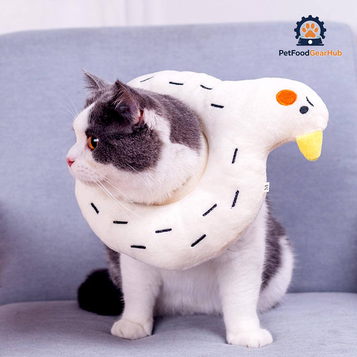 Goose Elizabethan Collar | Cat with E Collar | PetFoodGearHub