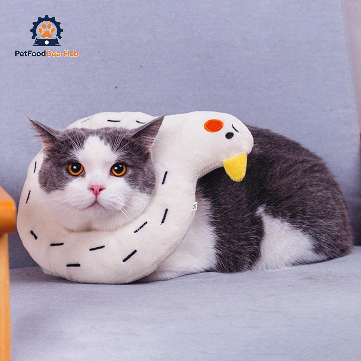 Goose Elizabethan Collar | Cat with E Collar | PetFoodGearHub