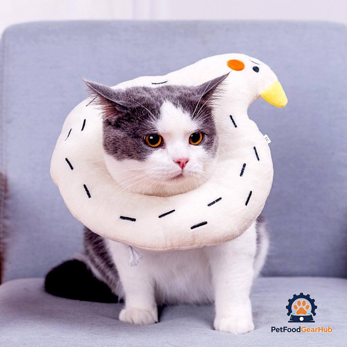 Goose Elizabethan Collar | Cat with E Collar | PetFoodGearHub