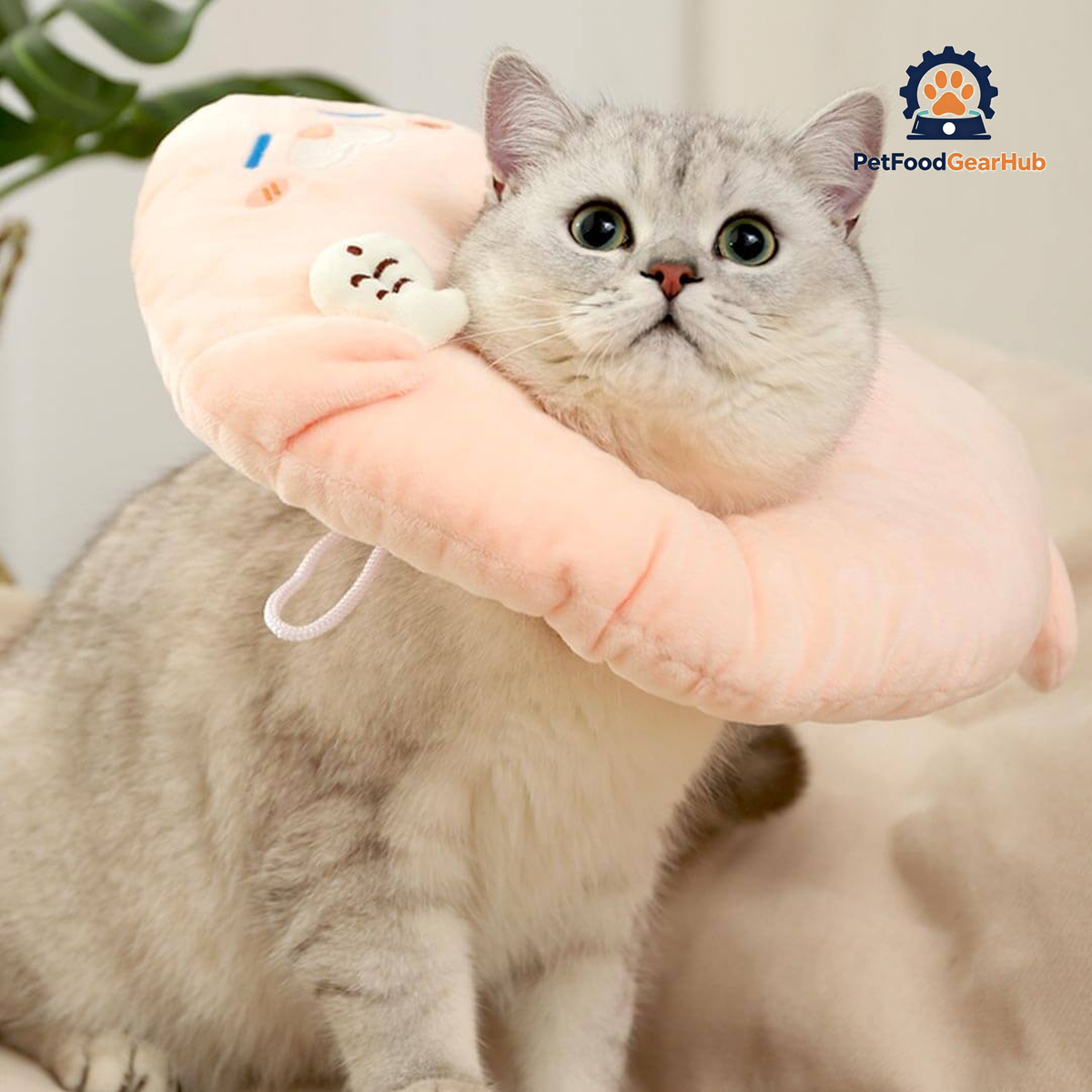 Seal Elizabethan Collar for Cats | Cat with Comfy E Collar | PetFoodGearHub