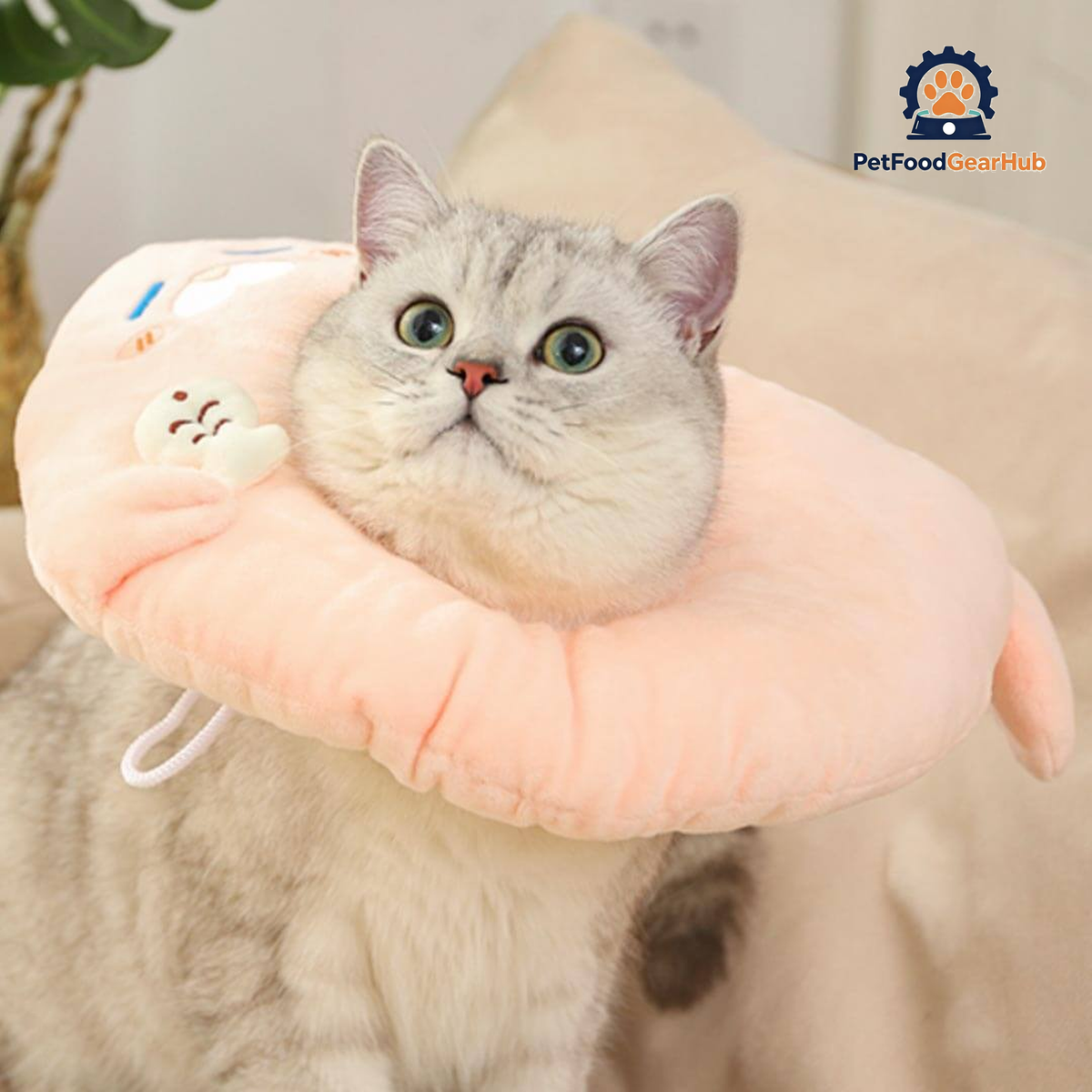 Seal Elizabethan Collar for Cats | Cat with Comfy E Collar | PetFoodGearHub