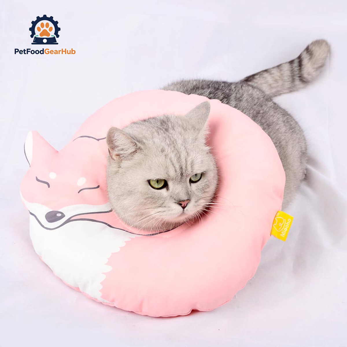 Fox Elizabethan Collar for Cats & Kittens | PetFoodGearHub