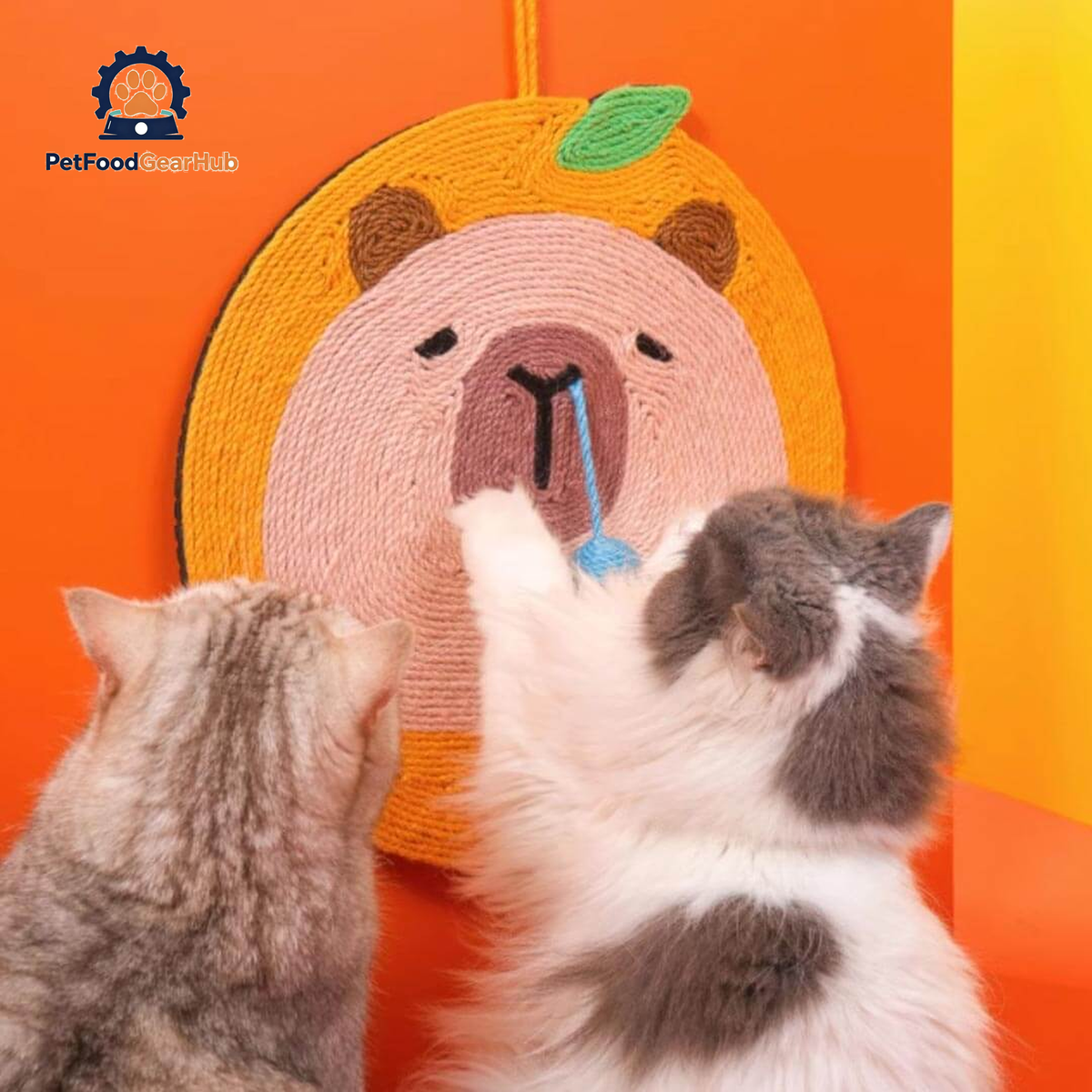 Cats Scratching Sniffy Capybara Cat Scratch Mat | PetFoodGearHub