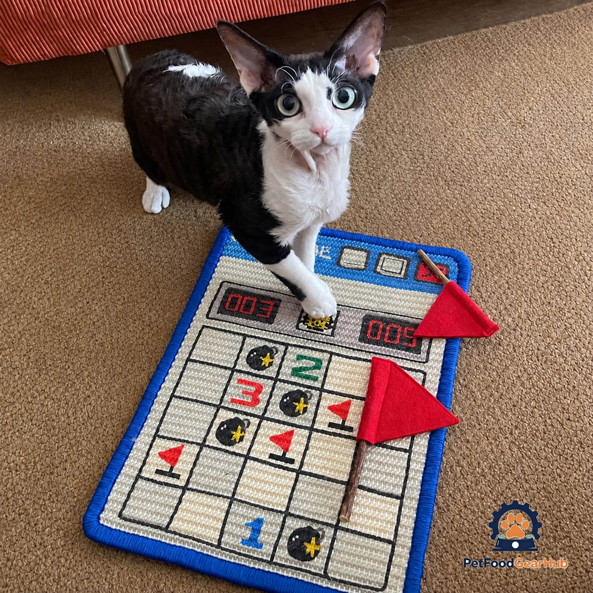 Cat Standing on Minesweeper Sisal Cat Scratcher with Flag Toys | Cat Scratchers | PetFoodGearHub
