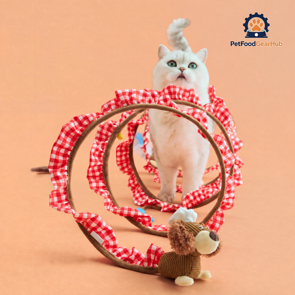 Cat Stepping Out of Puppy Spiral Cat Tunnel | Interactive Cat Toys | PetFoodGearHub