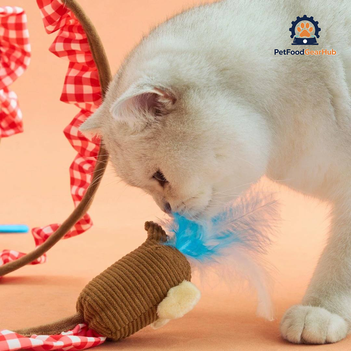 Cat Batting Blue Feather Teaser on Spiral Cat Tunnel | Feather Cat Toys | PetFoodGearHub