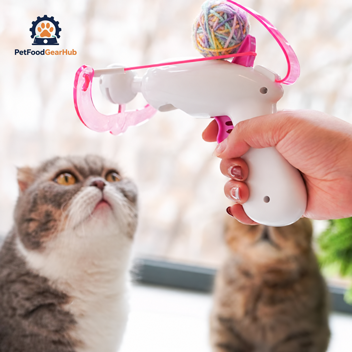 PetFoodGearHub Launcher Cat Toy | Interactive Cat Toys | PetFoodGearHub