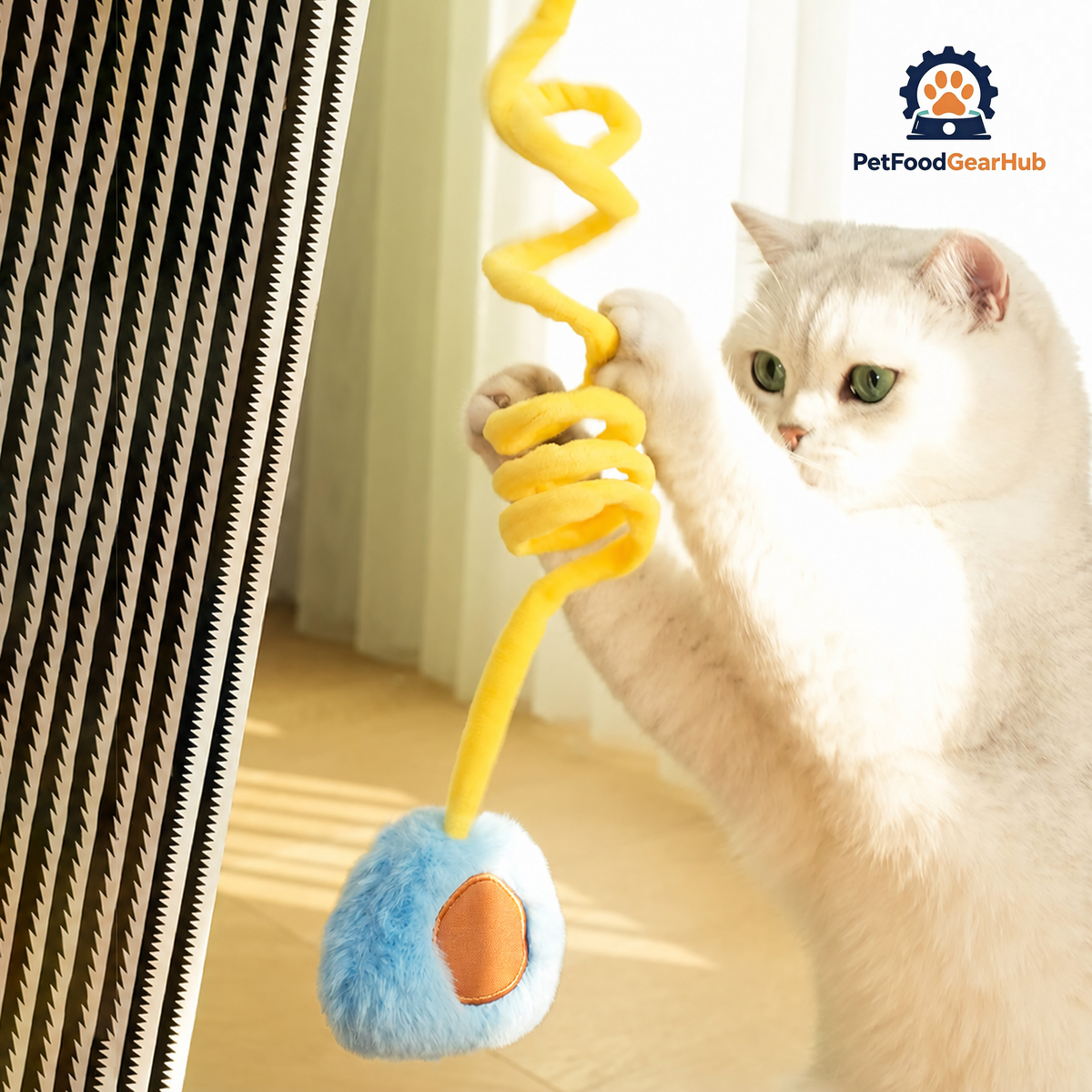 Cat Playing with Blue Plush Pillow Cat Toy | Cat Toys | PetFoodGearHub