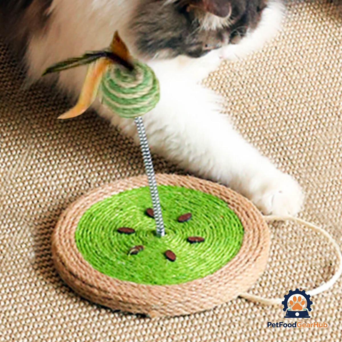 Cat Playing with Kiwi Sisal Scratcher with Sisal Spring Ball | Interactive Cat Toys | PetFoodGearHub