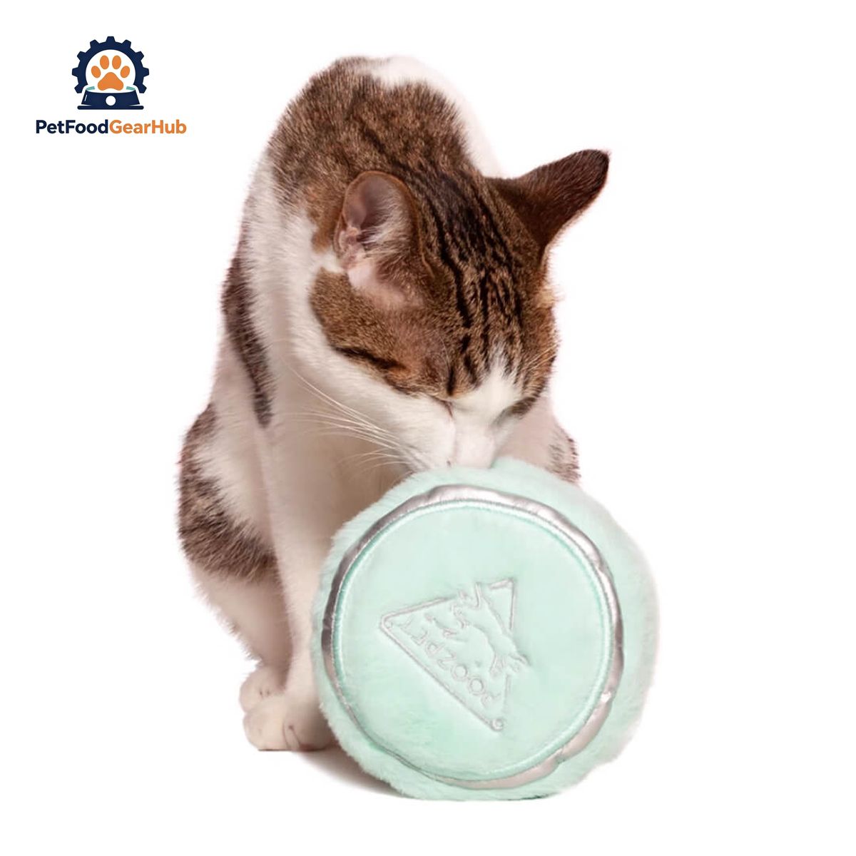 Cat Playing with Compact Powder Snuffle Toy | PetFoodGearHub