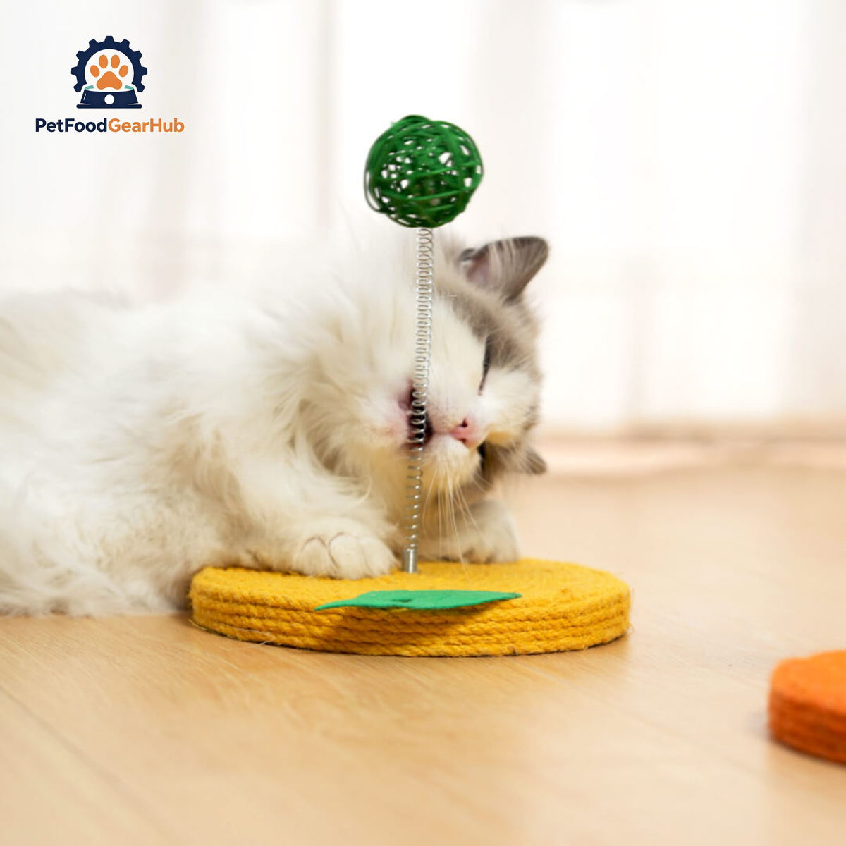 PetFoodGearHub Cat Playing with Lemon Sisal Scratcher with Rattan Spring Ball | Interactive Cat Toys