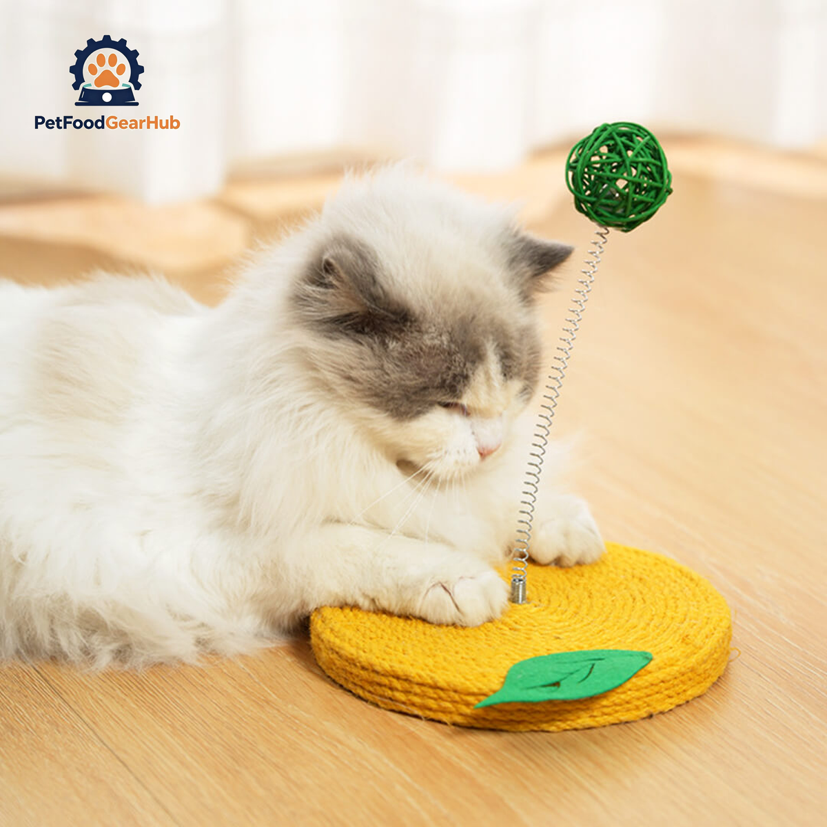 PetFoodGearHub Cat Playing with Lemon Sisal Scratcher with Rattan Spring Ball | Interactive Cat Toys