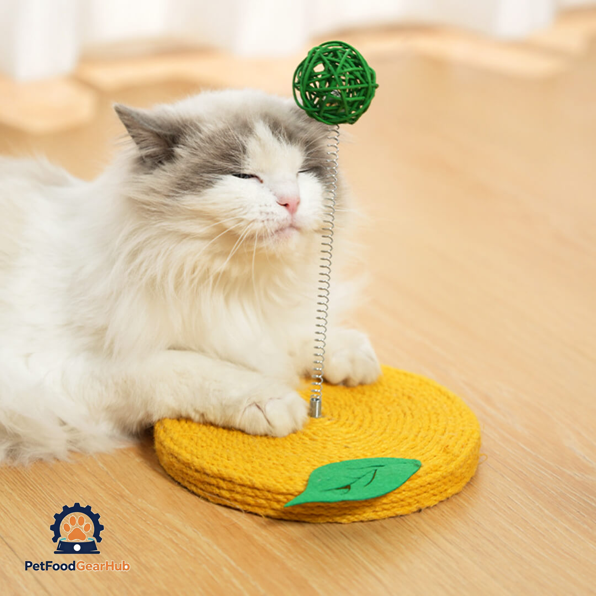 PetFoodGearHub Cat Playing with Lemon Sisal Scratcher with Rattan Spring Ball | Interactive Cat Toys