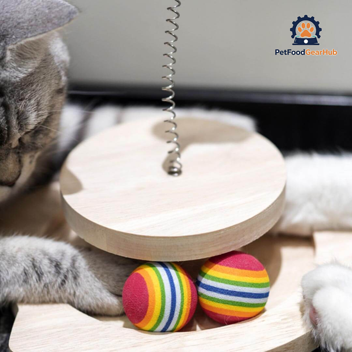 Cats Playing with Penguin Spring Ball Cat Toy with Rolling Balls | Interactive Cat Toys | PetFoodGearHub