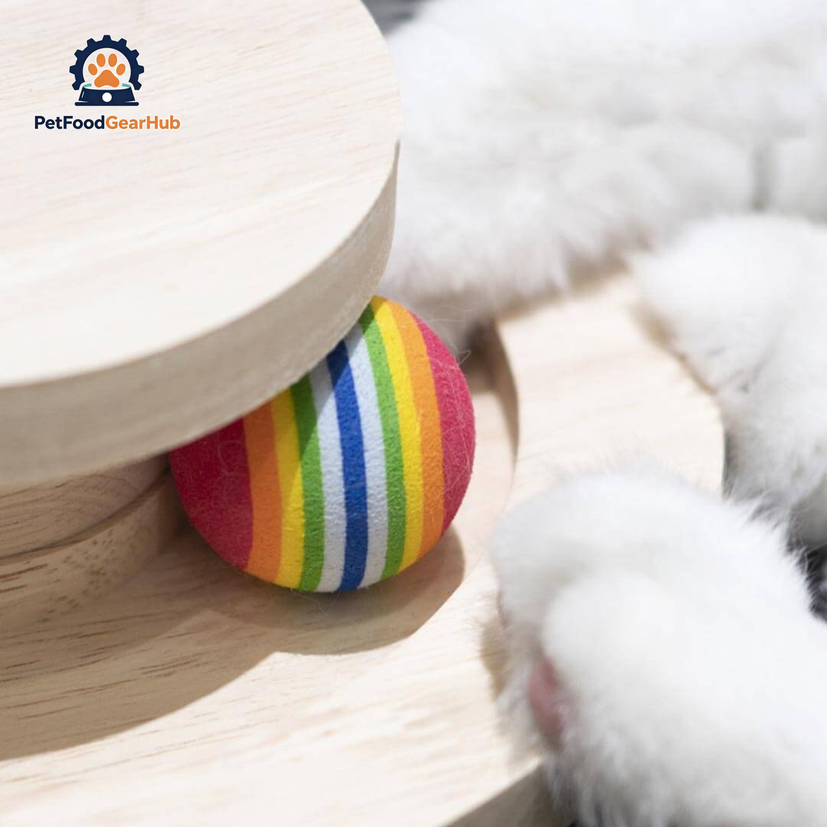 Cats Playing with Penguin Spring Ball Cat Toy with Rolling Balls | Interactive Cat Toys | PetFoodGearHub