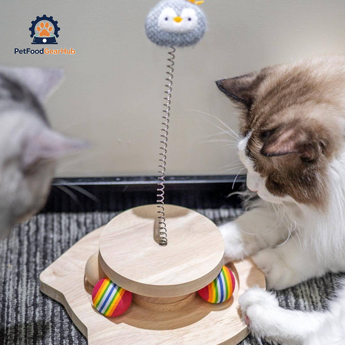 Cats Playing with Penguin Spring Ball Cat Toy with Rolling Balls | Interactive Cat Toys | PetFoodGearHub