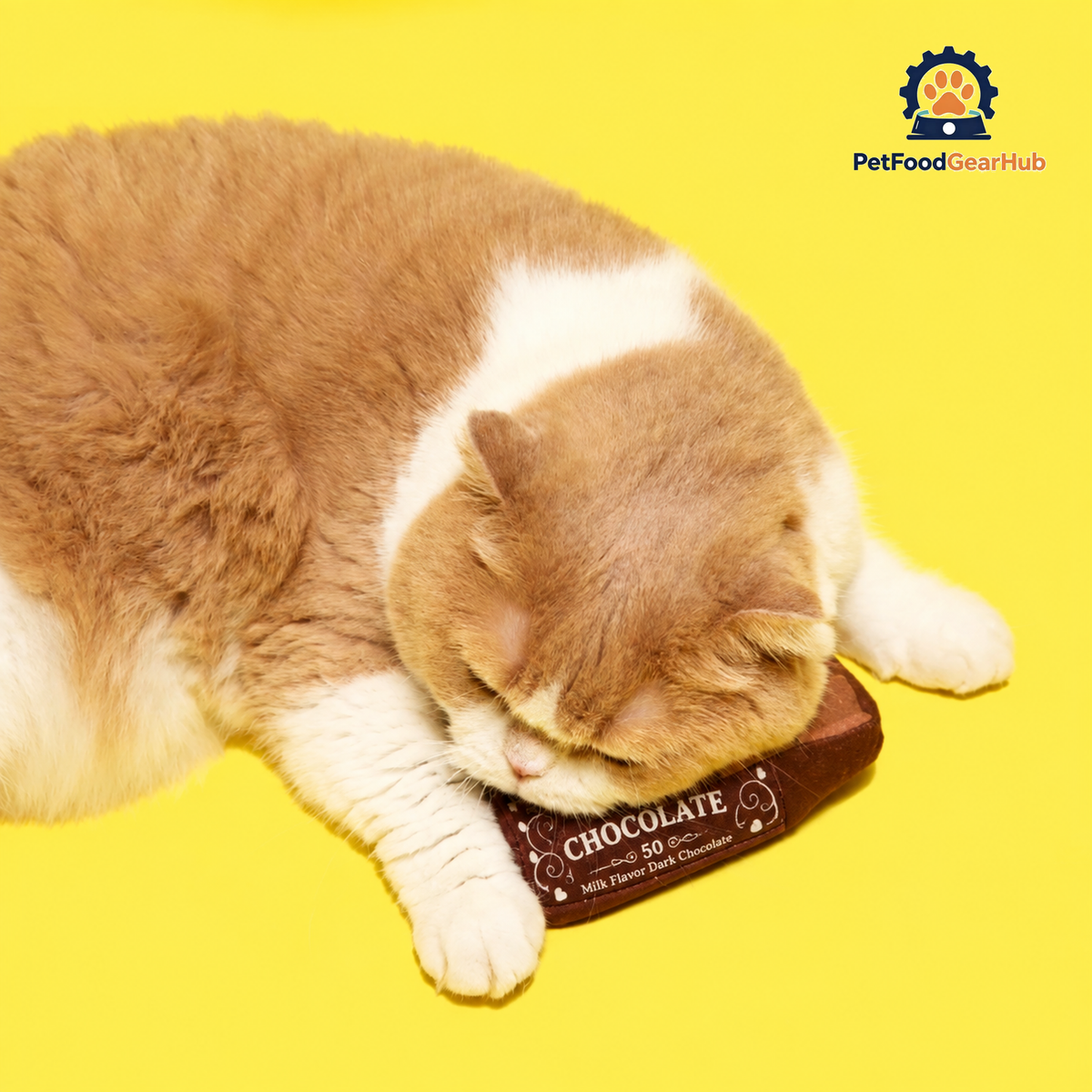 Cat Sleeping on Plush Chocolate Cat Toy | Cute Cat Toys | PetFoodGearHub