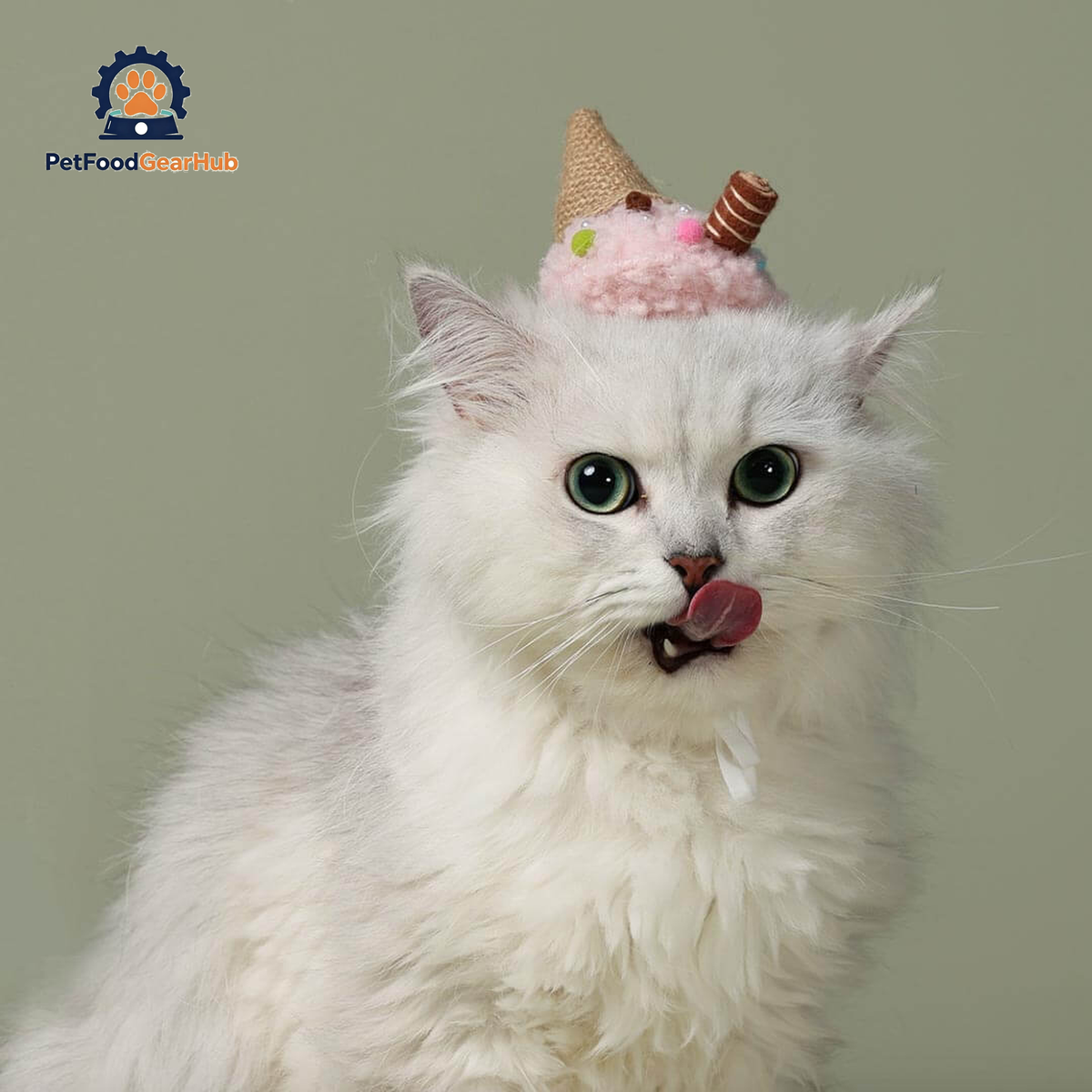 White Cat Wearing Ice Cream Cone Hat | PetFoodGearHub