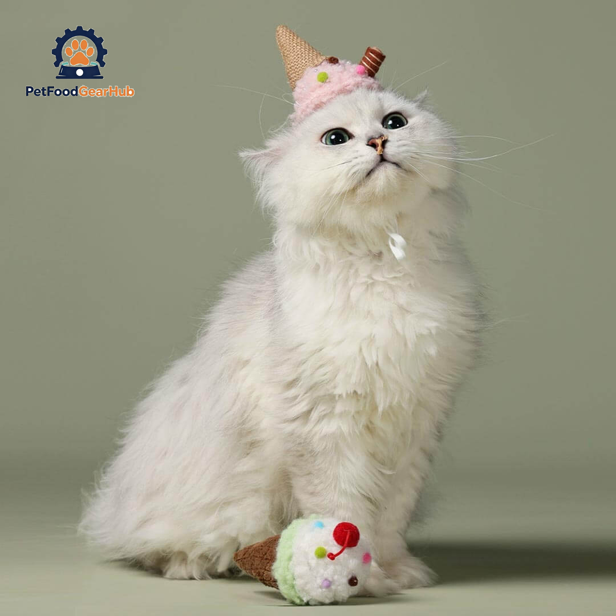 Cat Wearing Ice Cream Birthday Hat Sitting Next to Plush Cone Toy | PetFoodGearHub