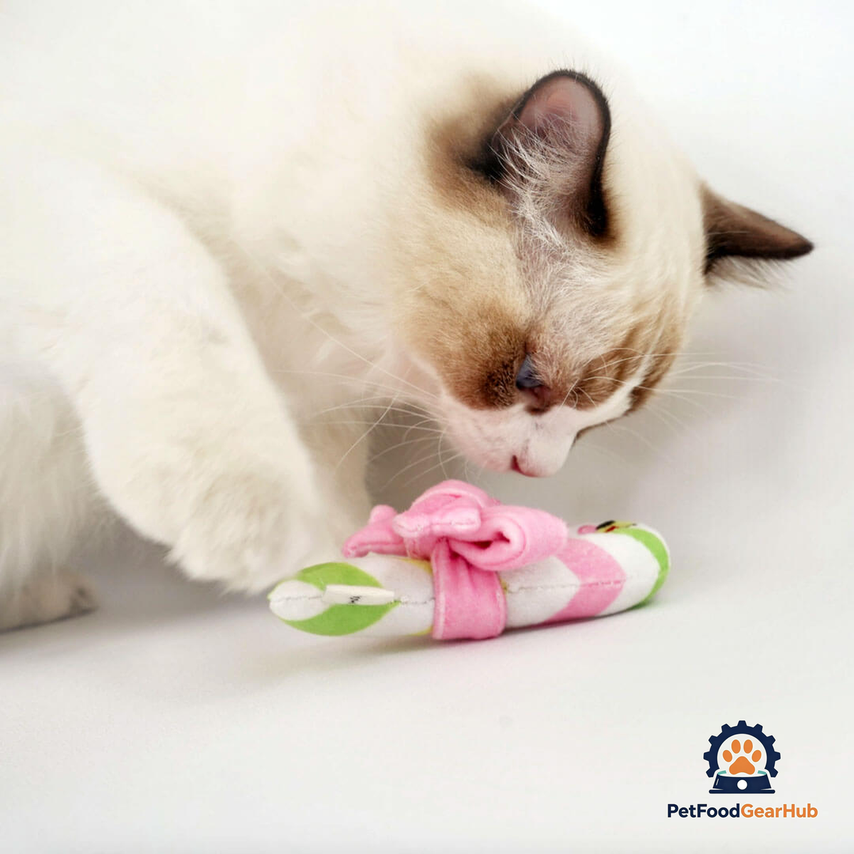 Cat with Candy Cane Catnip Toy | Cute Toy for Cats & Kittens | PetFoodGearHub