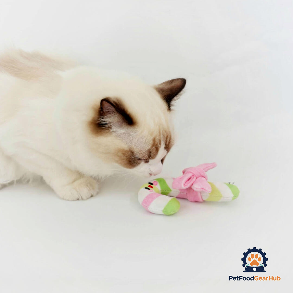 Cat with Candy Cane Catnip Toy | Cute Toy for Cats & Kittens | PetFoodGearHub