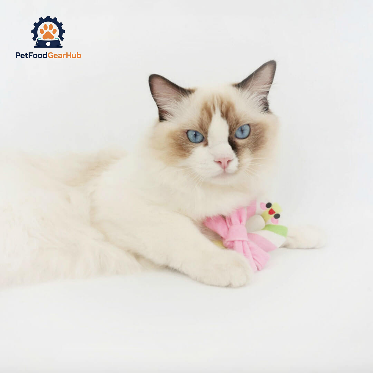 Cat with Candy Cane Catnip Toy | Cute Toy for Cats & Kittens | PetFoodGearHub