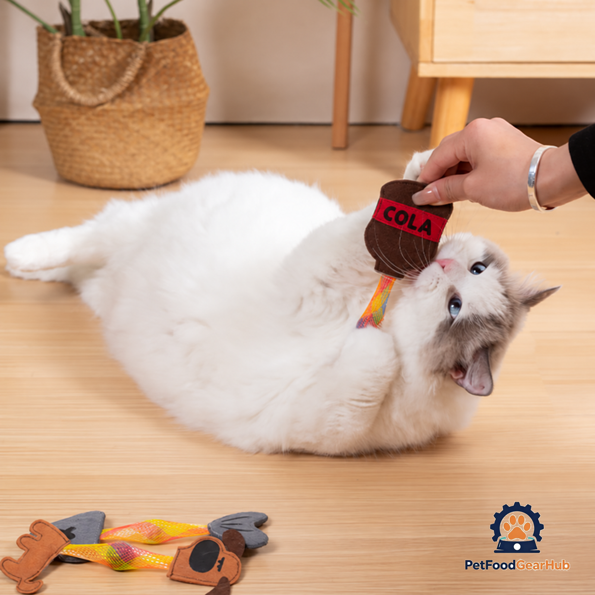 Cat Playing with Stretchy Cola Catnip Toy | PetFoodGearHub