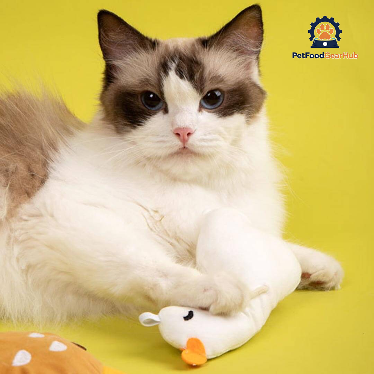 Goose Catnip Toy | Cute Cat Toys for Cats & Kittens | PetFoodGearHub