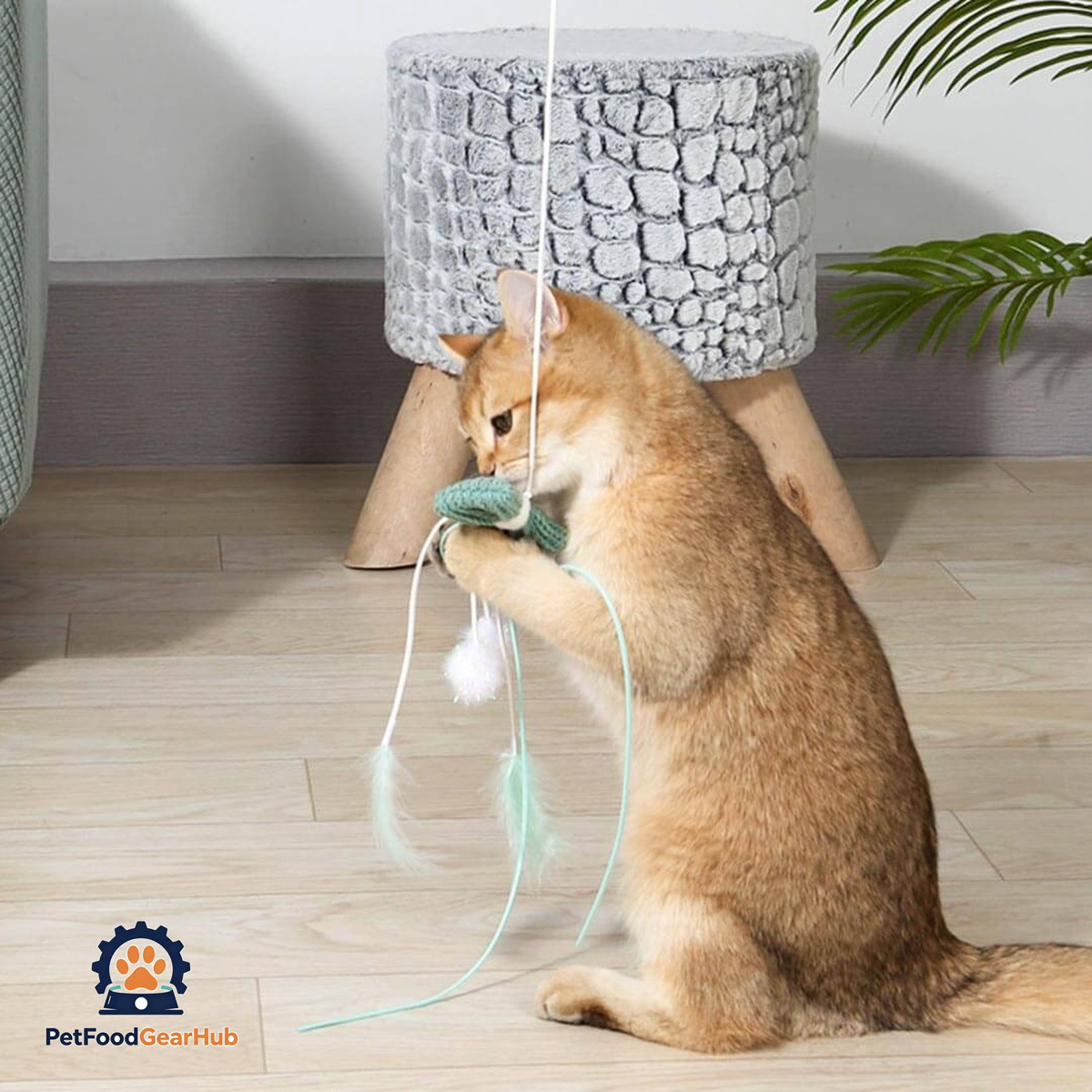 Cat Playing with Bow Whisker Twister Cat Wand | Kitten & Cat Toys | PetFoodGearHub