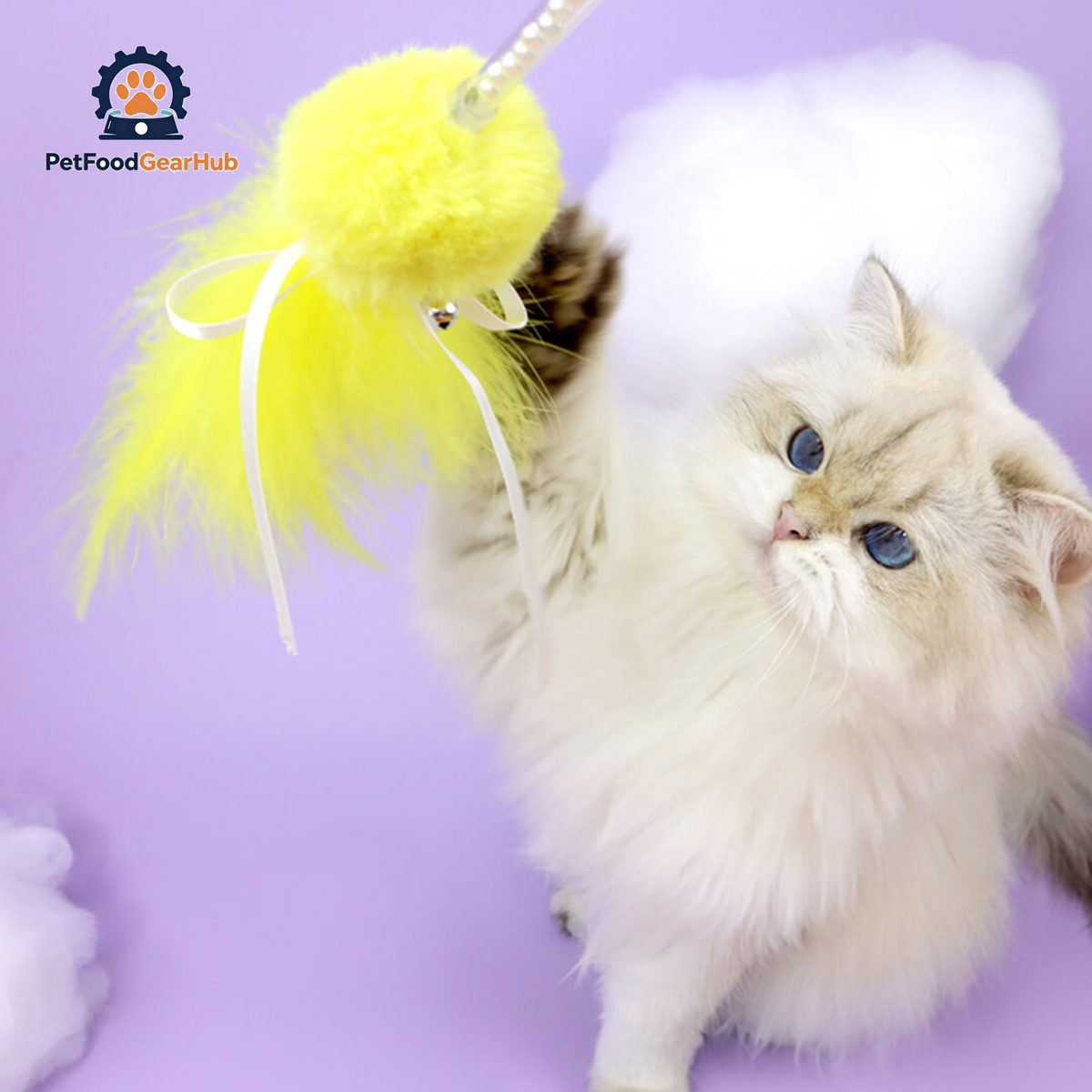 Cat with Feather Ribbon Cat Wand Toys | PetFoodGearHub