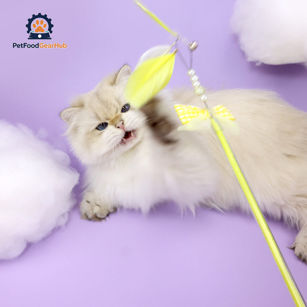 Cat with Feather Ribbon Cat Wand Toys | PetFoodGearHub