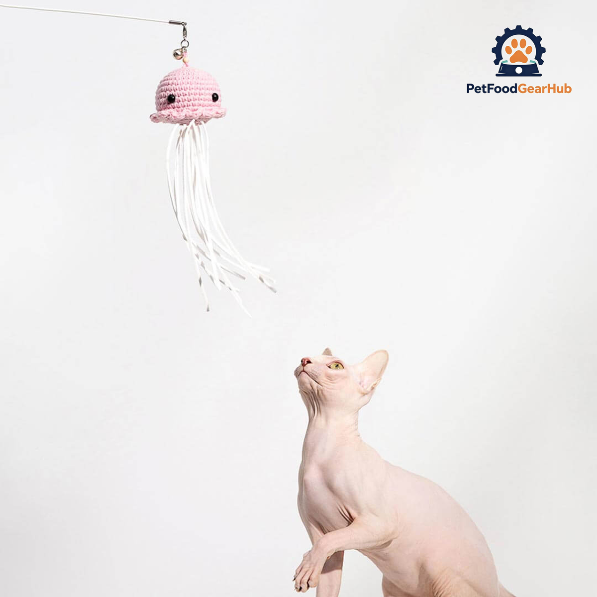 Cat Reaching for Jellyfish Cat Teaser Wand | Interactive Cat Toys | PetFoodGearHub