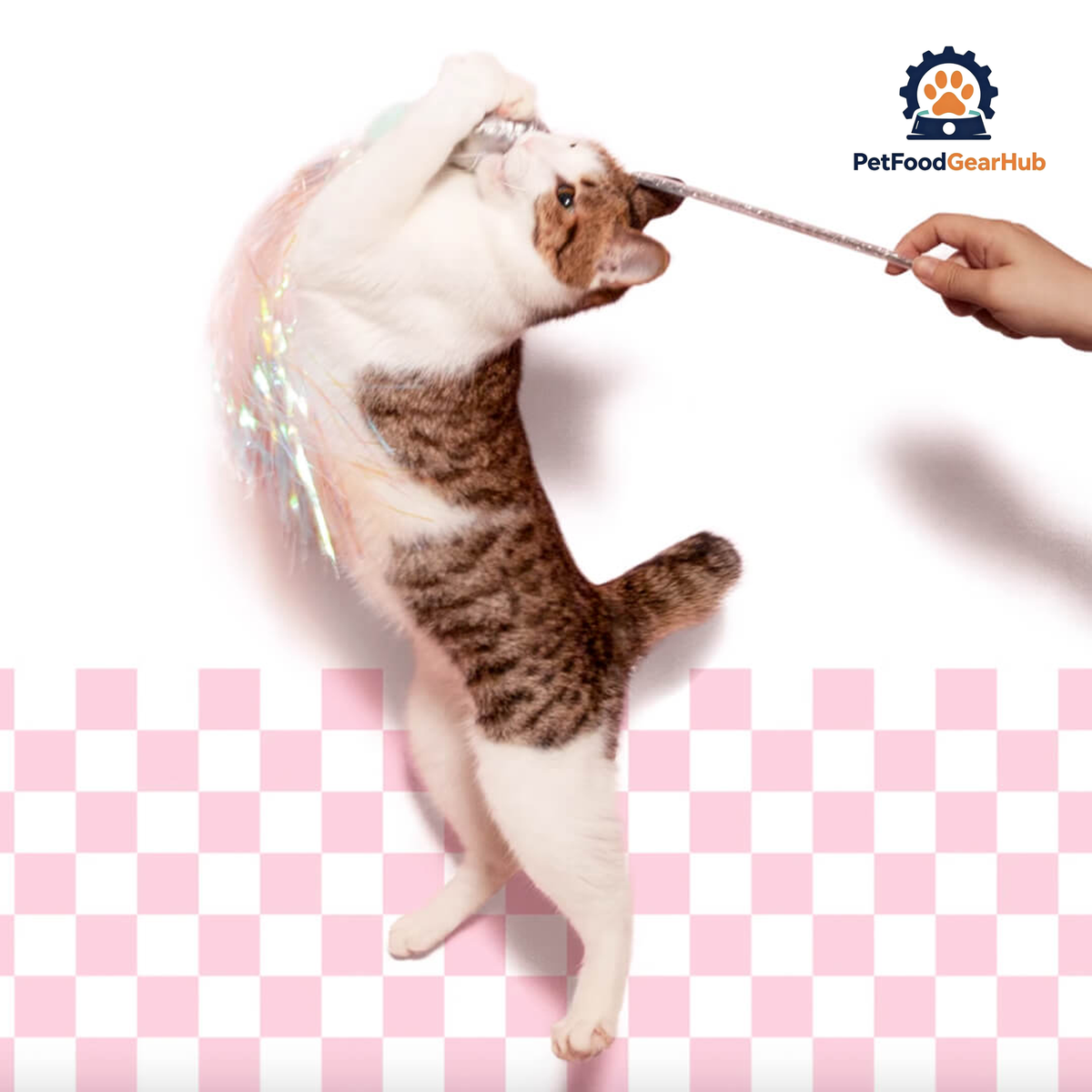 Perfume Cat Wand Toy | Interactive Cat Toy | PetFoodGearHub