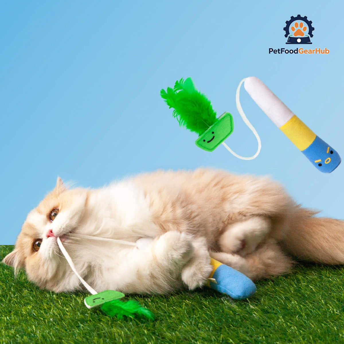Cat Playing with Pufferfish Fishing Teaser Set | Cat Toys | PetFoodGearHub