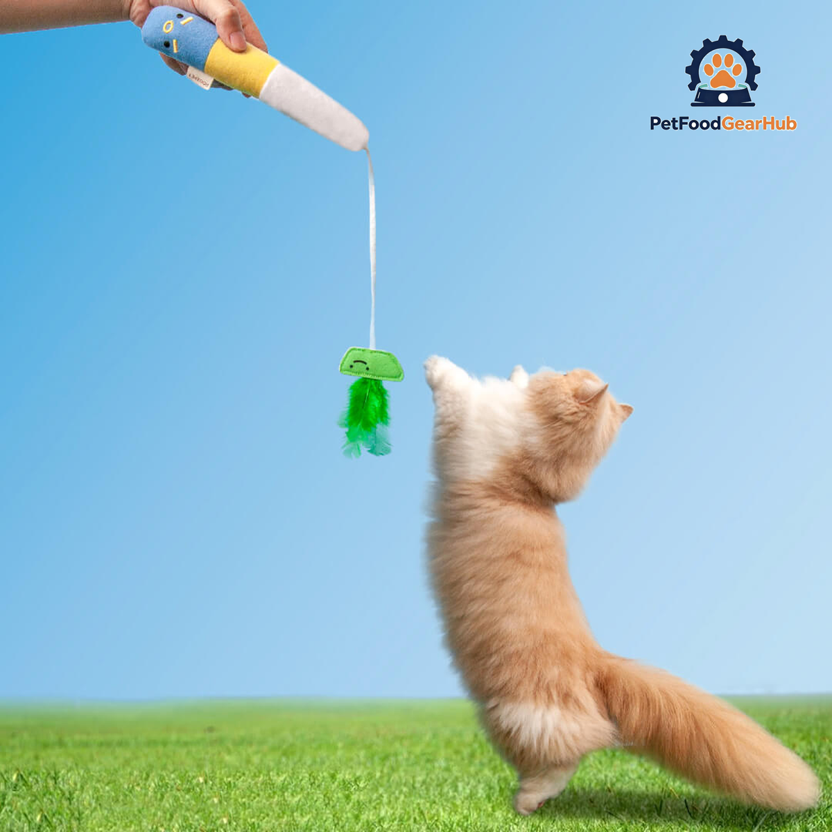 Cat Playing with Pufferfish Fishing Teaser Set | Cat Toys | PetFoodGearHub