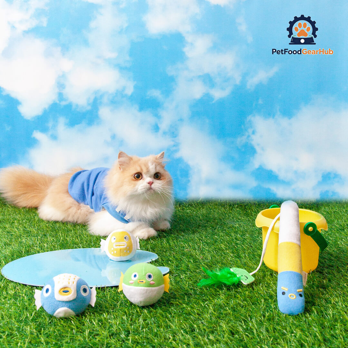 Cat Playing with Pufferfish Fishing Teaser Set | Cat Toys | PetFoodGearHub