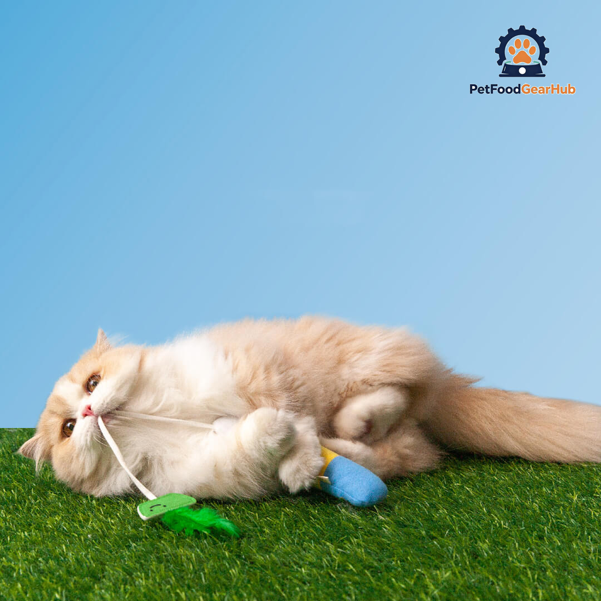 Cat Playing with Pufferfish Fishing Teaser Set | Cat Toys | PetFoodGearHub