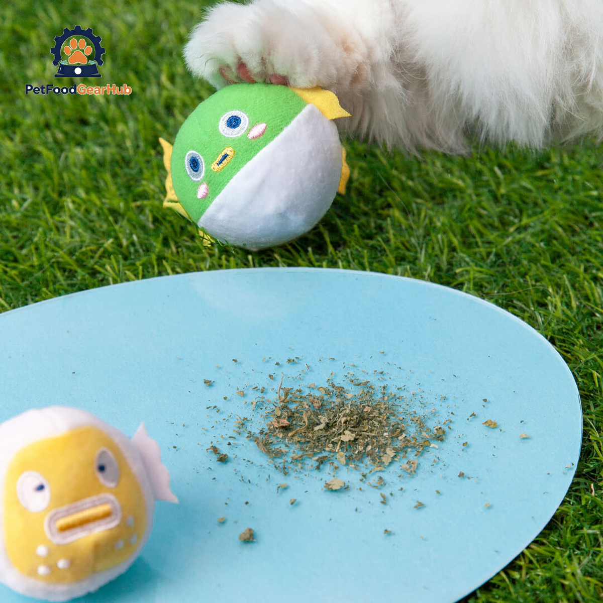 Cat Playing with Pufferfish Catnip Toys | PetFoodGearHub