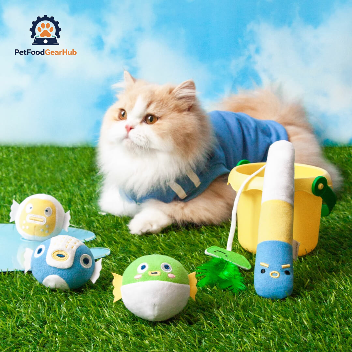Cat Playing with Pufferfish Fishing Teaser Set | Cat Toys | PetFoodGearHub