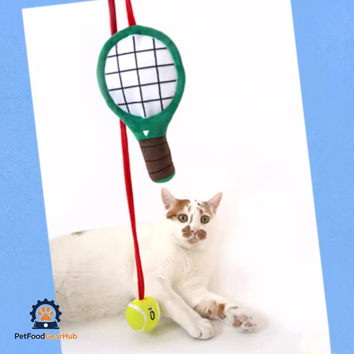 Cat Playing with Tennis Bungee Teaser Wand | Cat Toys | PetFoodGearHub