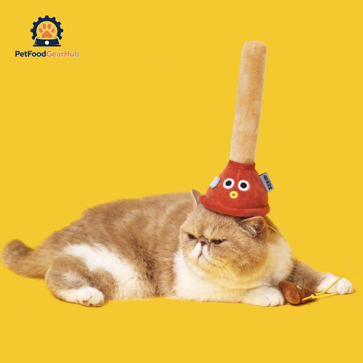Cat Playing with Plunging Poo Cat Teaser | Funny Kitten & Cat Toys | PetFoodGearHub